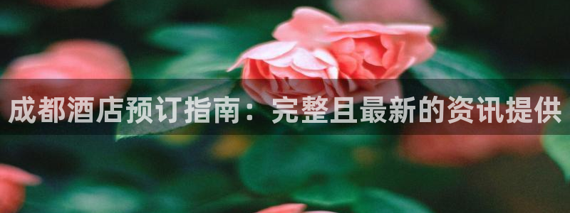 英国威廉希尔官网登录|成都酒店预订指南：完整且最新的资讯提供