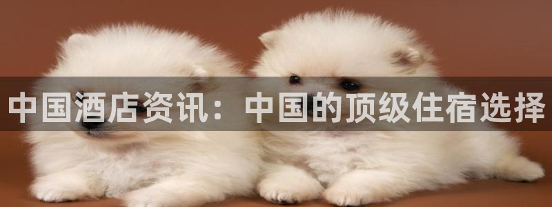 威廉williamhill官网地址|中国酒店资讯：中国的顶级